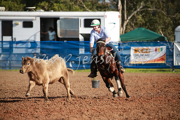 CCCampdraft2016_0390