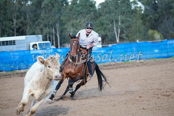 CCCampdraft2016_0637