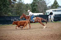 CCCampdraft2016_0078