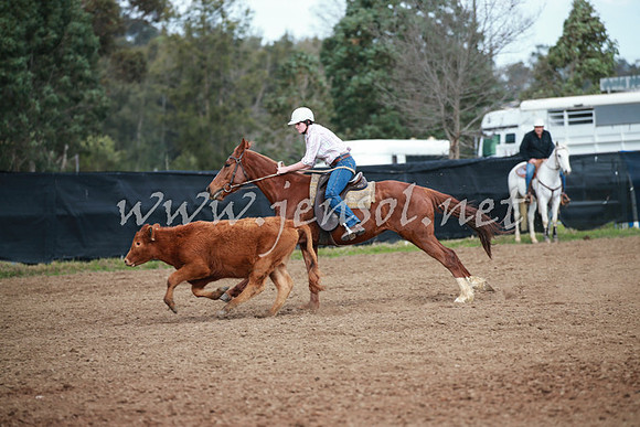 CCCampdraft2016_0078