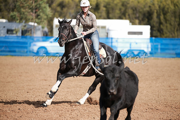 CCCampdraft2016_0185