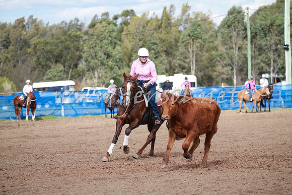 CCCampdraft2016_0164