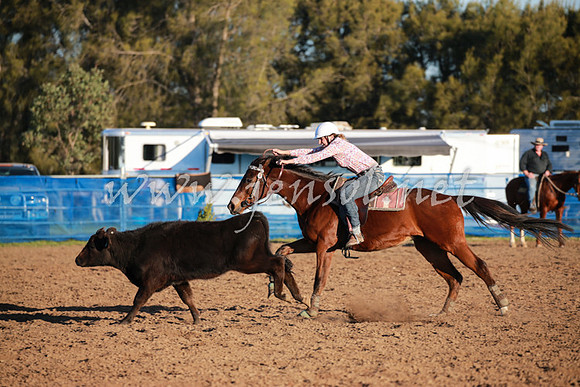 CCCampdraft2016_0807