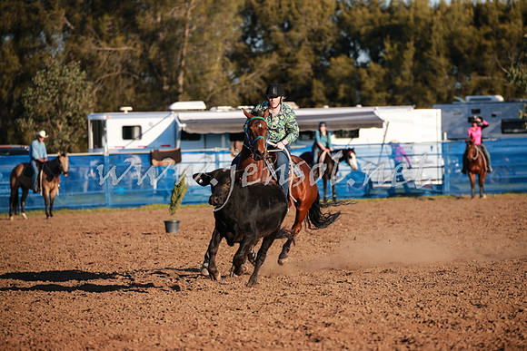 CCCampdraft2016_0782