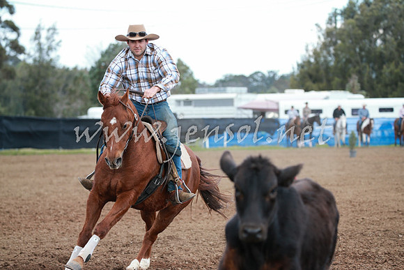 CCCampdraft2016_0076