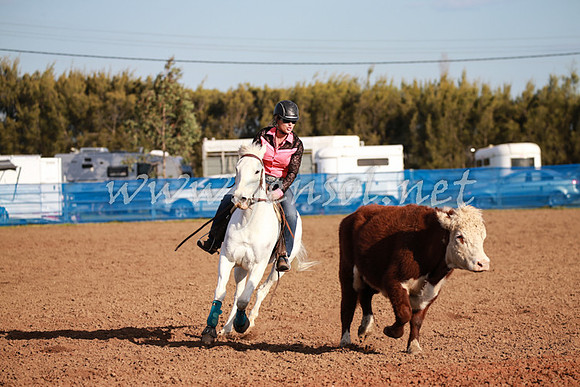 CCCampdraft2016_0461