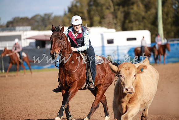 CCCampdraft2016_0527