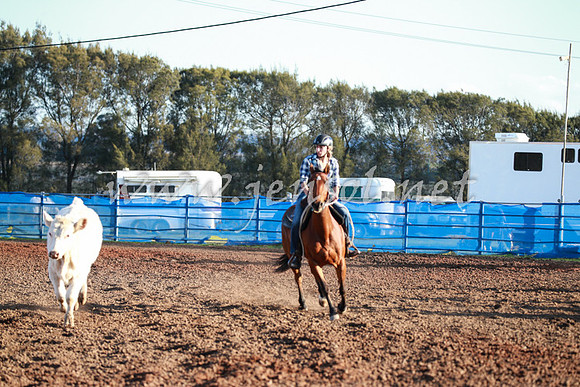 CCCampdraft2016_0676