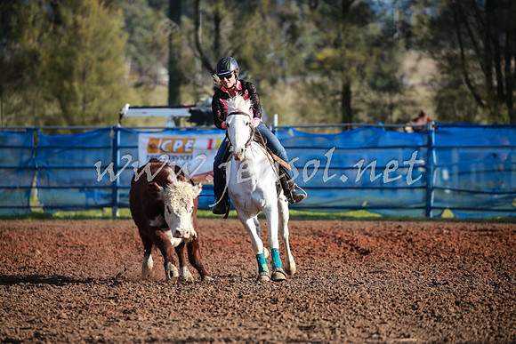 CCCampdraft2016_0477