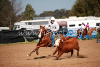 CCCampdraft2016_0175
