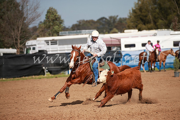 CCCampdraft2016_0175