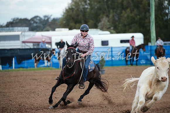 CCCampdraft2016_0132