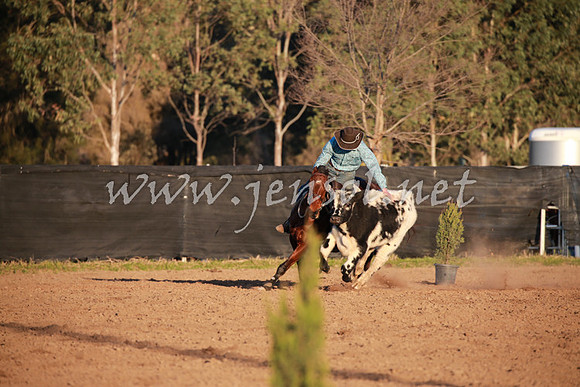CCCampdraft2016_0966