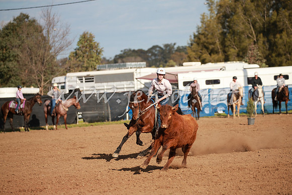 CCCampdraft2016_0446