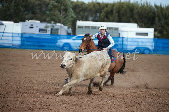 CCCampdraft2016_0240