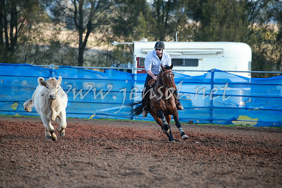 CCCampdraft2016_0650