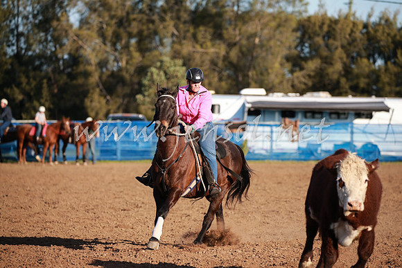 CCCampdraft2016_0664