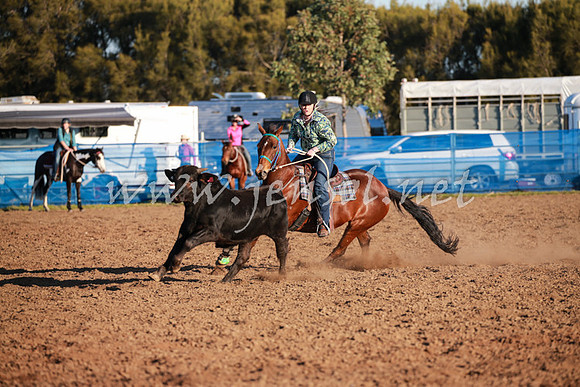 CCCampdraft2016_0776