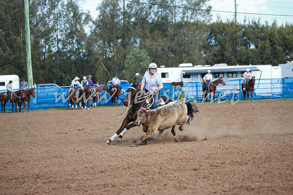 CCCampdraft2016_0366