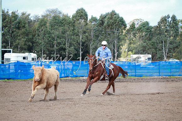 CCCampdraft2016_0326