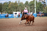 CCCampdraft2016_0160