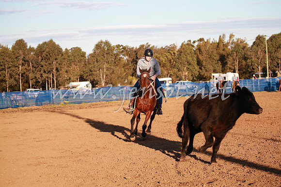 CCCampdraft2016_0881