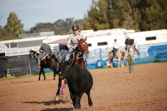 CCCampdraft2016_0434