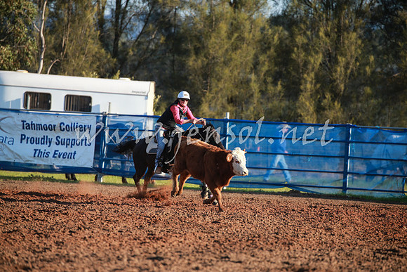 CCCampdraft2016_0716
