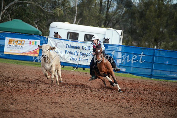 CCCampdraft2016_0261