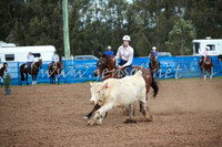 CCCampdraft2016_0143