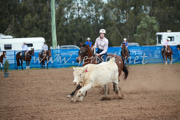 CCCampdraft2016_0143