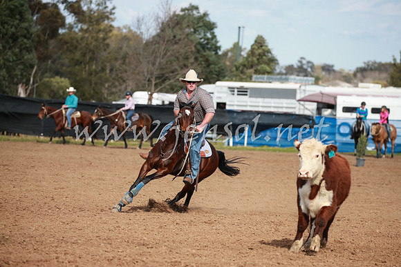 CCCampdraft2016_0319