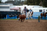 CCCampdraft2016_0123