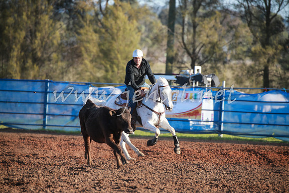 CCCampdraft2016_0753