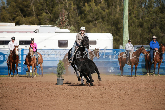 CCCampdraft2016_0206