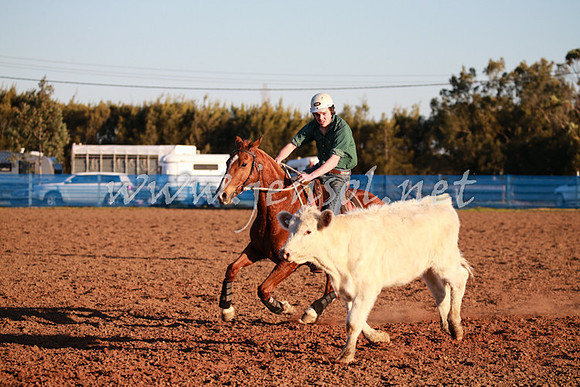 CCCampdraft2016_0811