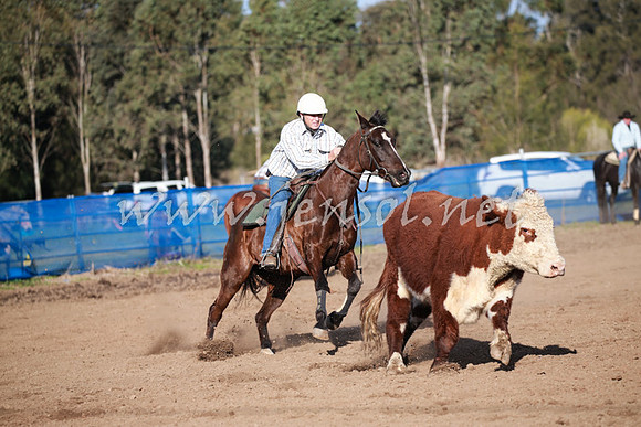 CCCampdraft2016_0501