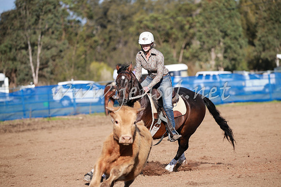 CCCampdraft2016_0511