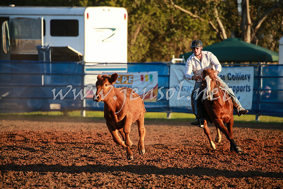 CCCampdraft2016_0921