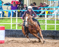 GoulburnRodeo2014_0377