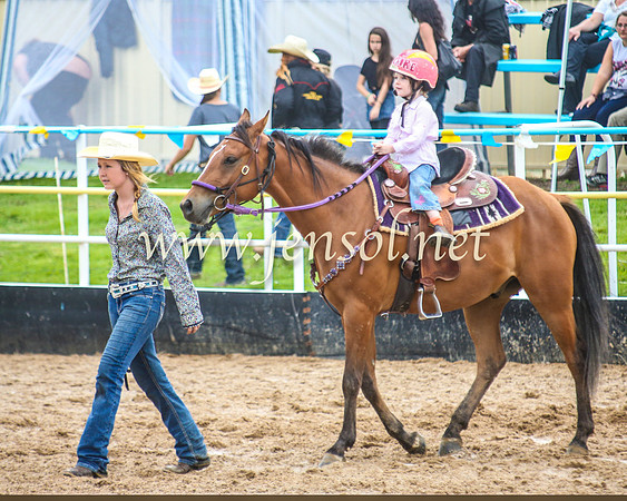 GoulburnRodeo2014_0500