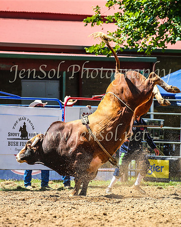 TumbarumbaRodeo2024_1285