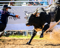 TumbarumbaRodeo2024_0679