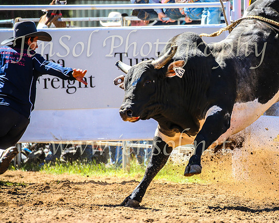 TumbarumbaRodeo2024_0679