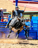 TumbarumbaRodeo2024_1164