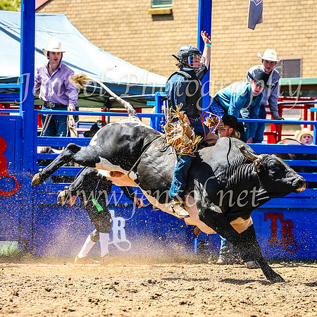 TumbarumbaRodeo2024_1149