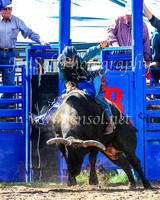 TumbarumbaRodeo2024_0535