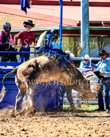 TumbarumbaRodeo2024_0584