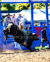 TumbarumbaRodeo2024_0477