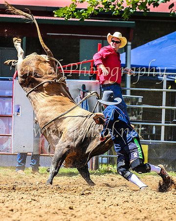 TumbarumbaRodeo2024_1312
